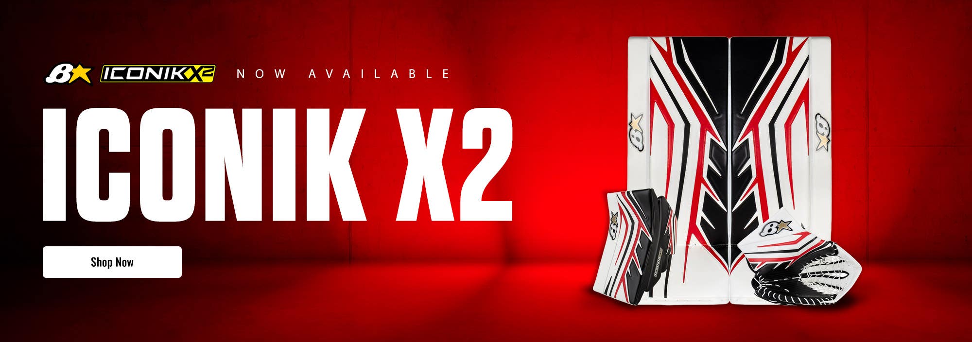 Brian's Iconik X2 Goalie Equipment