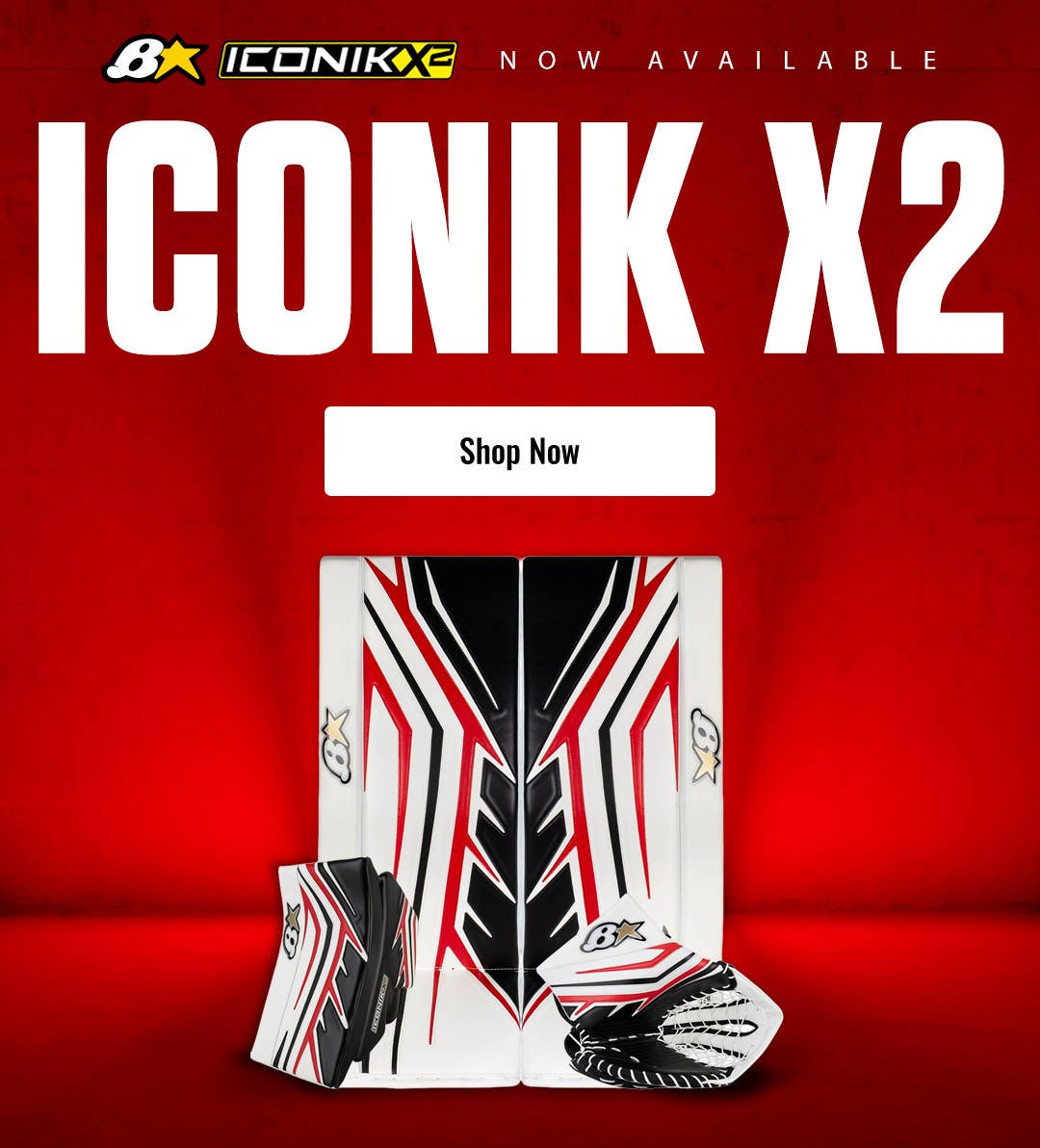 Brian's Iconik X2 Goalie Equipment