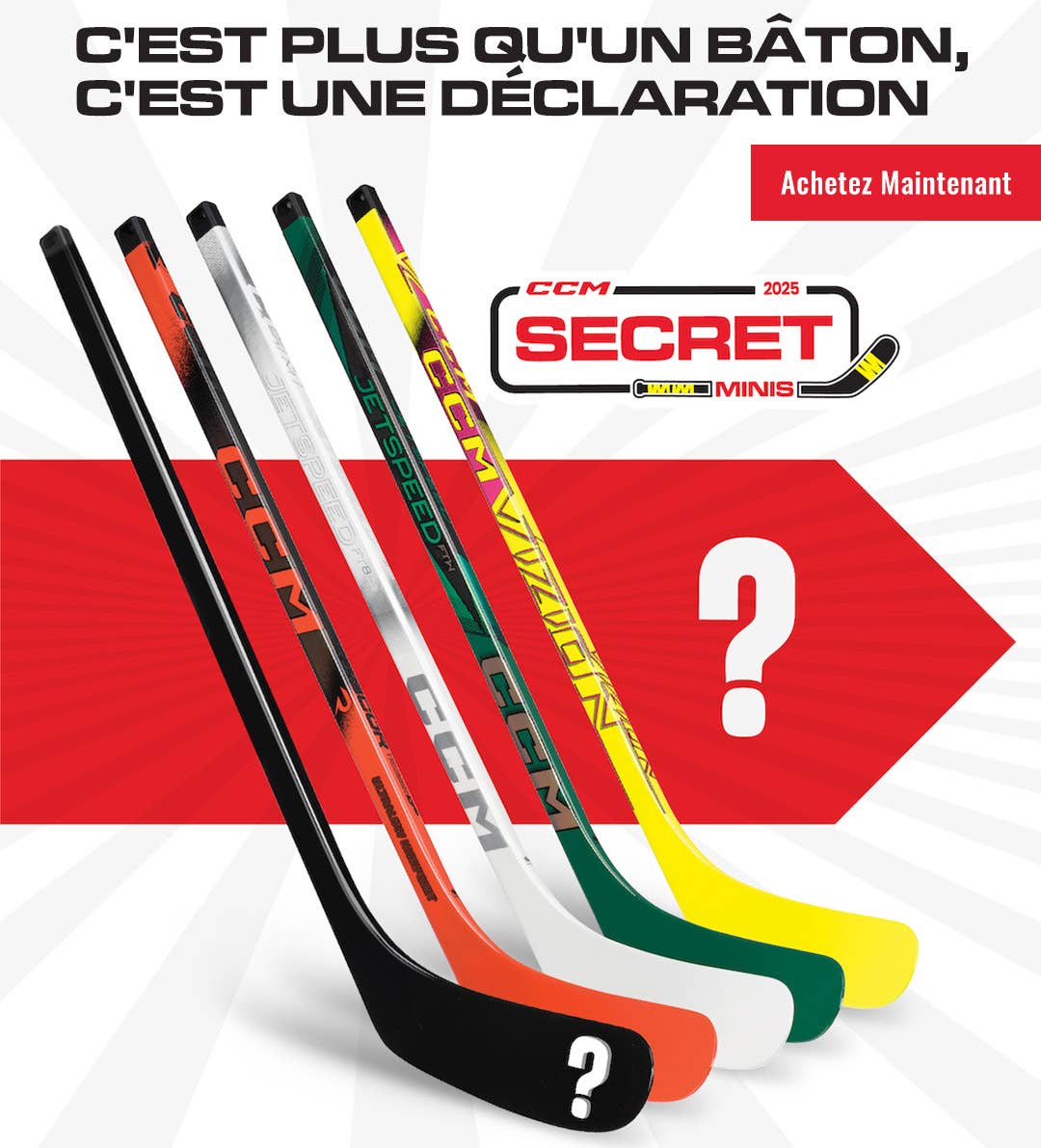 CCM Secret Mini Hockey Sticks. C'est plus qu'un bâton, c'est une déclaration