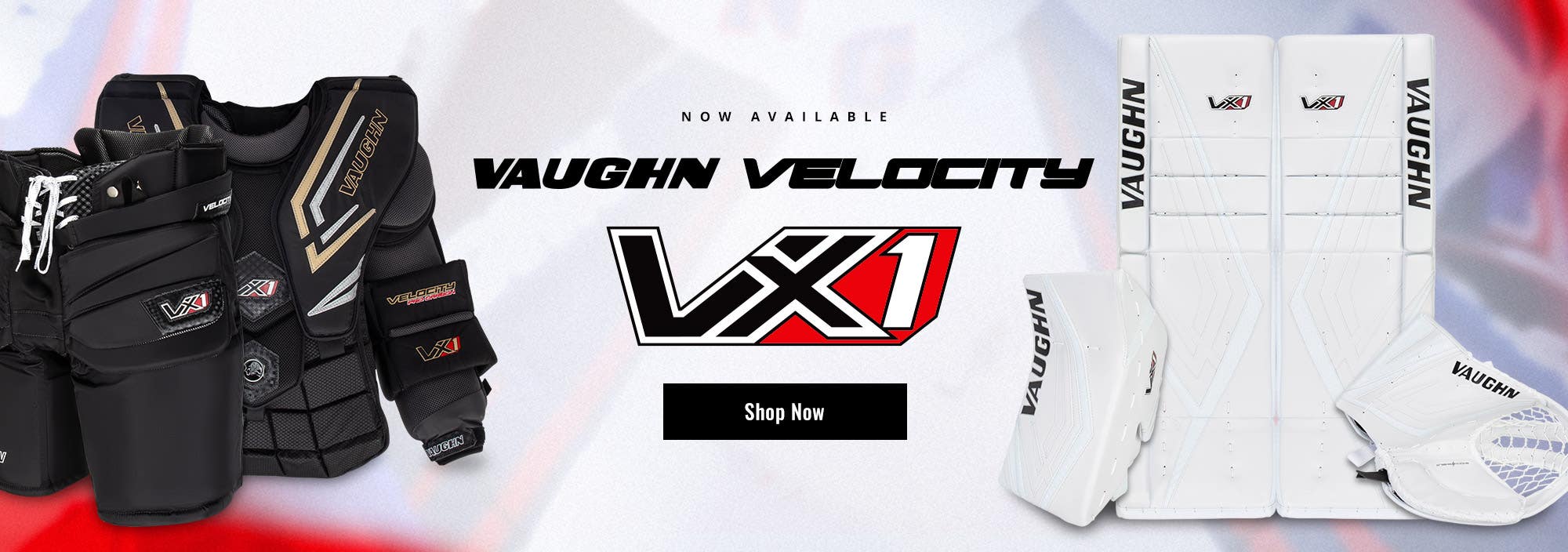 Vaughn Velocity VX1 Goalie Equipment