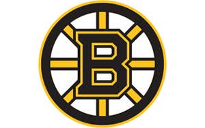 Zone partisans Boston Bruins