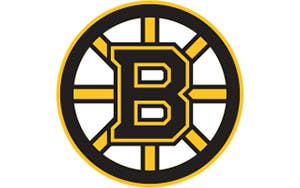 Zone partisans Boston Bruins