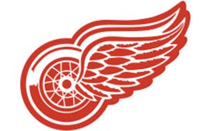 Zone partisans Detroit Red Wings