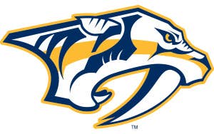 Zone partisans Nashville Predators