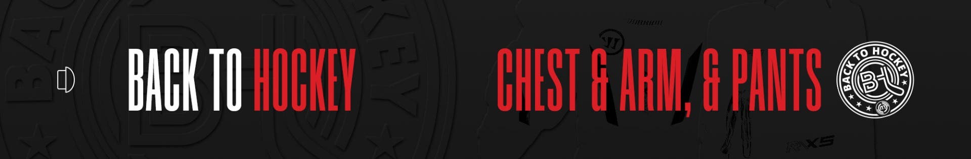 Back to Hockey: Goalie Chest & Arm Protectors and Pants