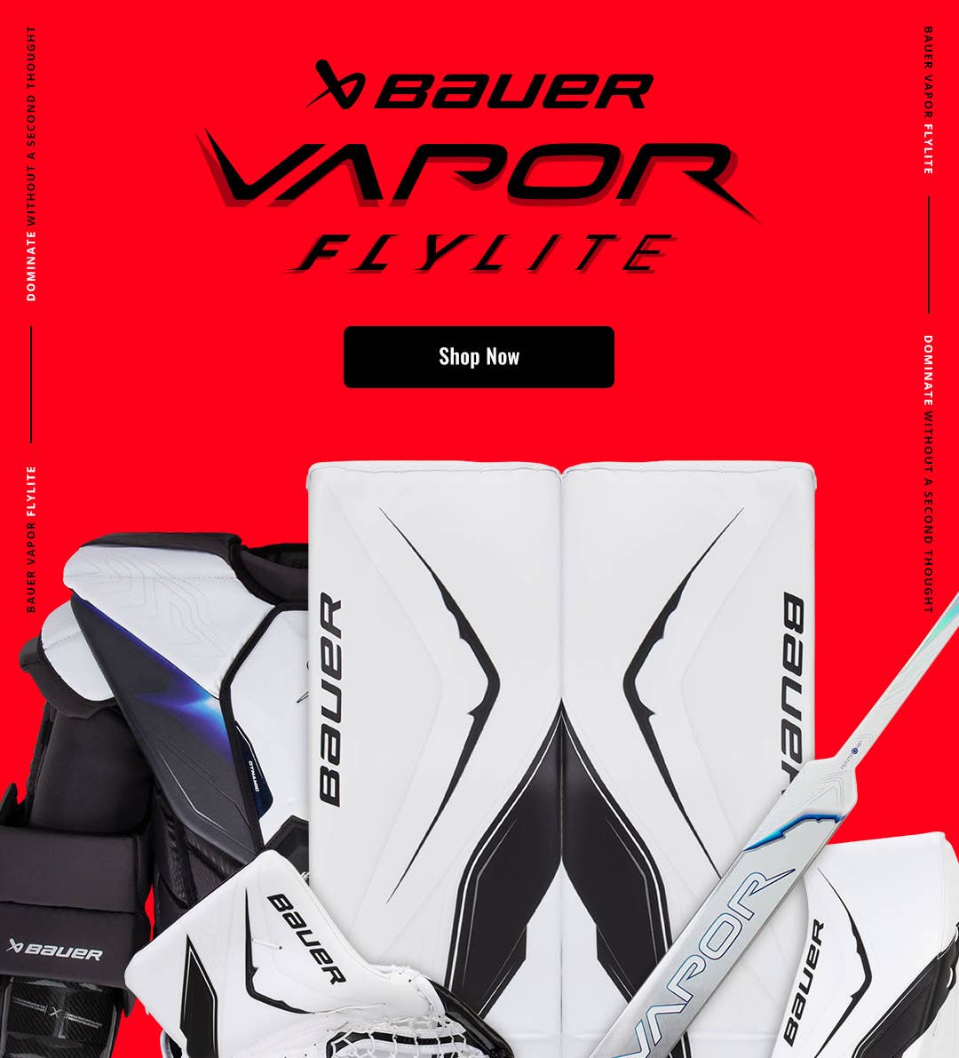Bauer Vapor Goalie Sticks